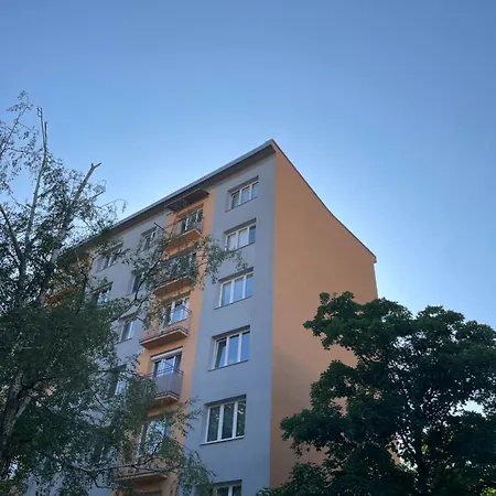 Pod Hvezdami *